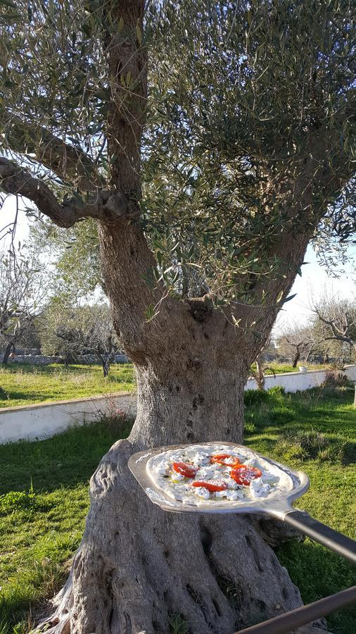 Masseria Cesarina B&B Castellana Grotte Ngoại thất bức ảnh