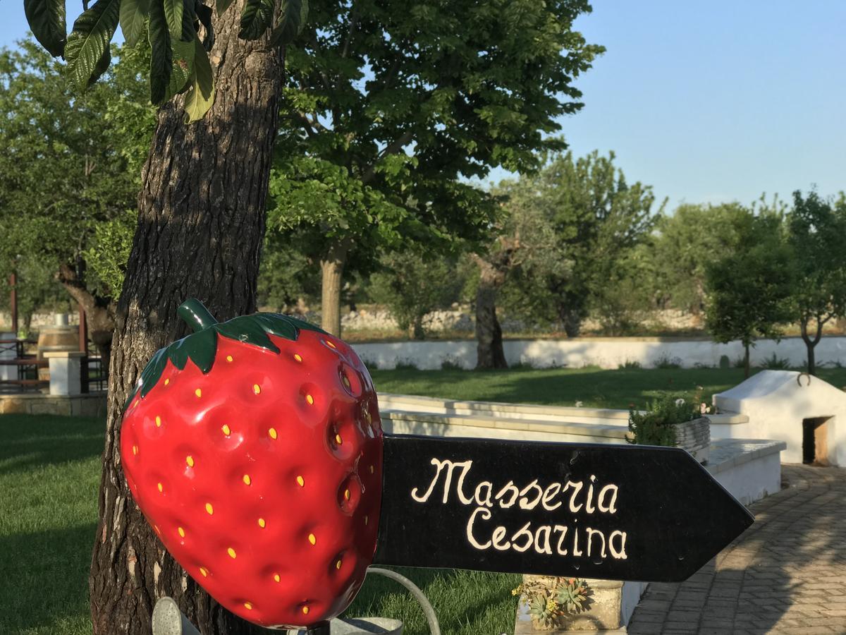 Masseria Cesarina B&B Castellana Grotte Ngoại thất bức ảnh